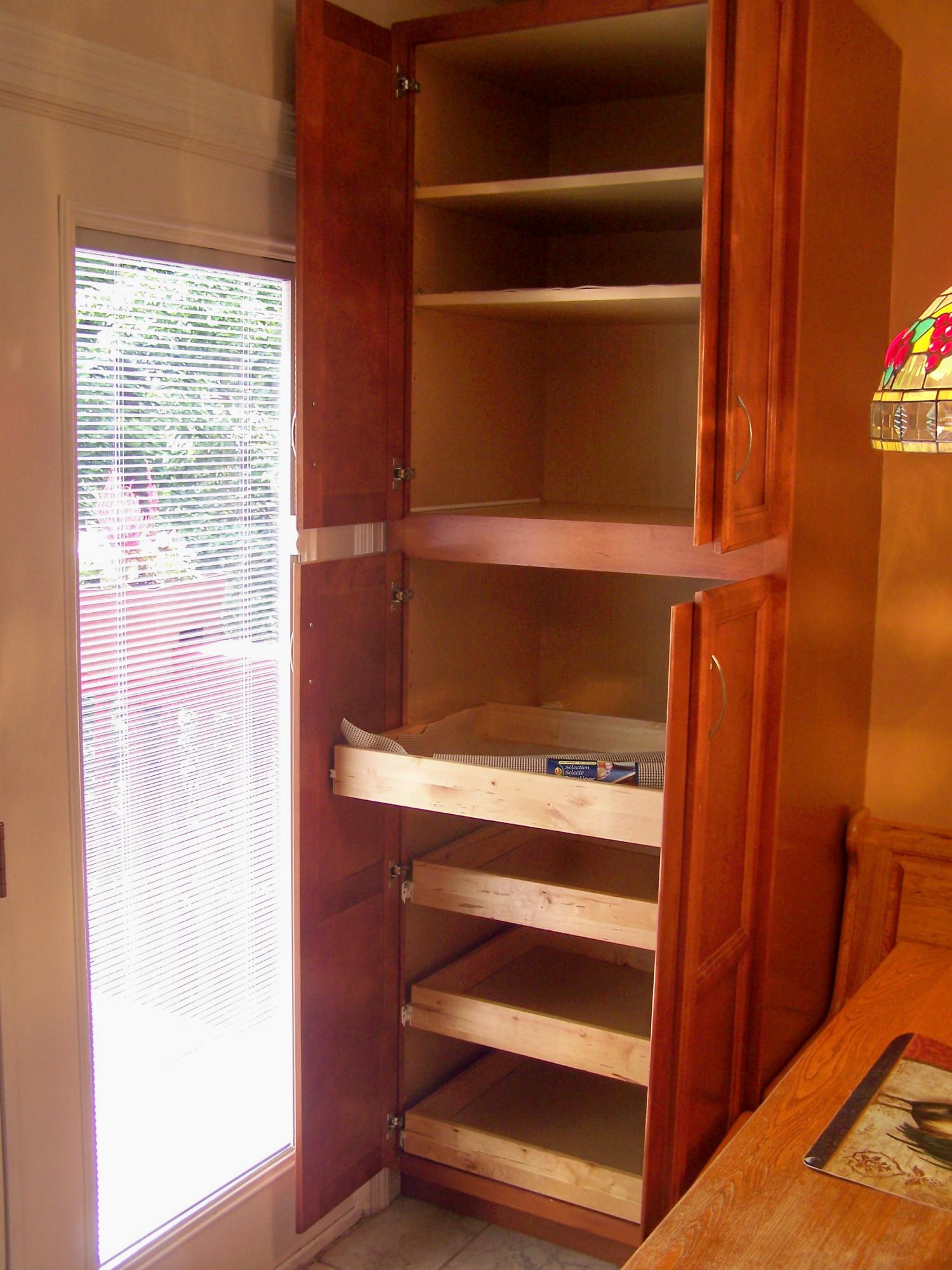 2912 Tree Swallow Road Roanoke, VA 24018 - Photo 14 of 32 a view of walk in closet with empty racks
