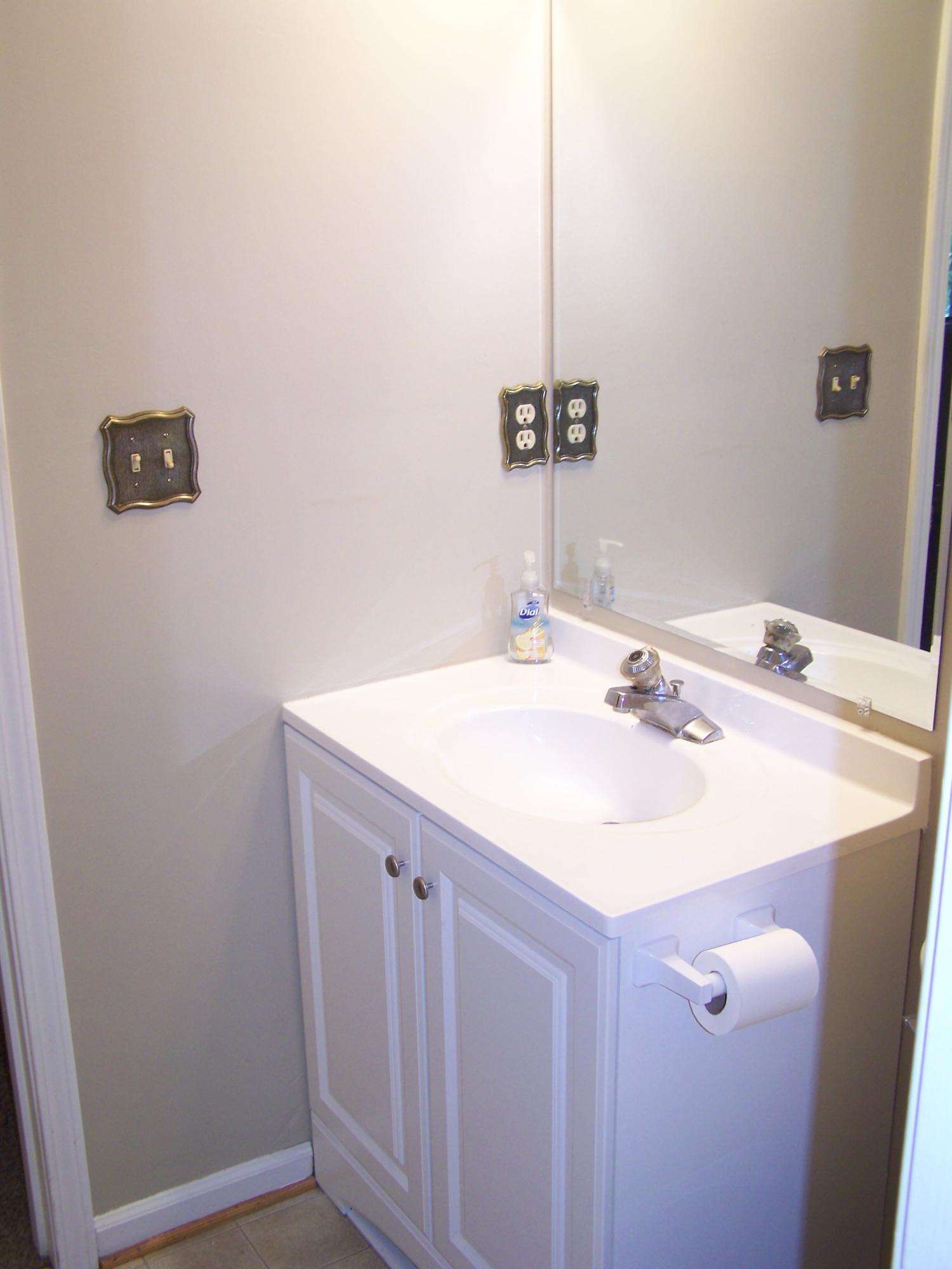 2912 Tree Swallow Road Roanoke, VA 24018 - Photo 22 of 32 a bathroom with a sink and a mirror