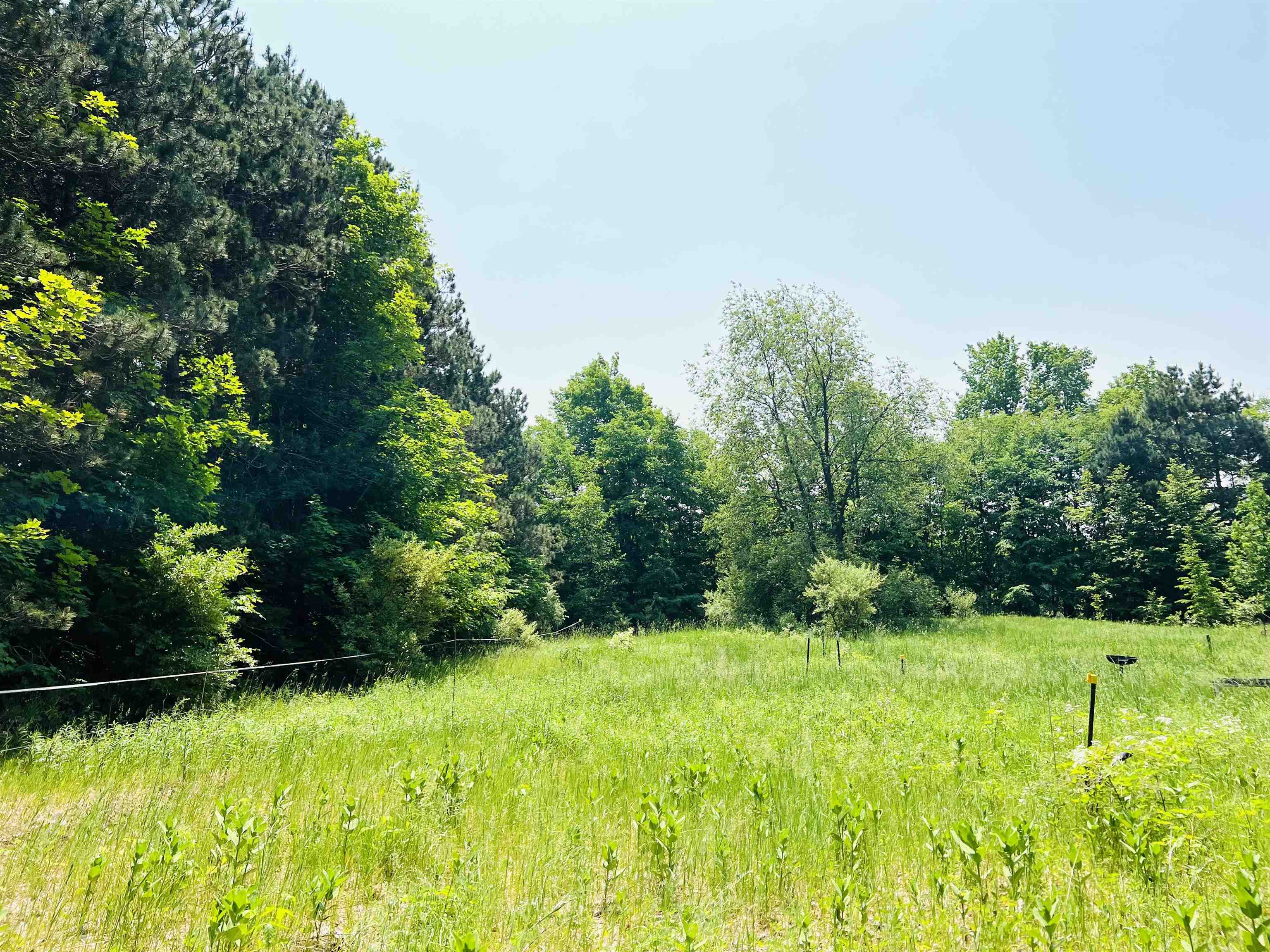 731 West Hlavka Road Maple City, MI 49664 - Photo 2 of 50 1911550-1.JPG