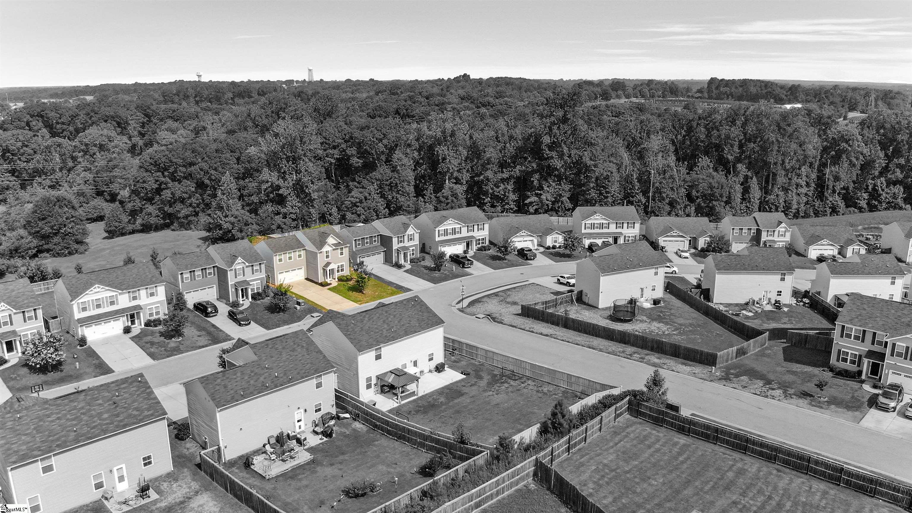 446 Hobson Way Lyman, SC 29365 - Photo 4 of 32 Gallery Image 4