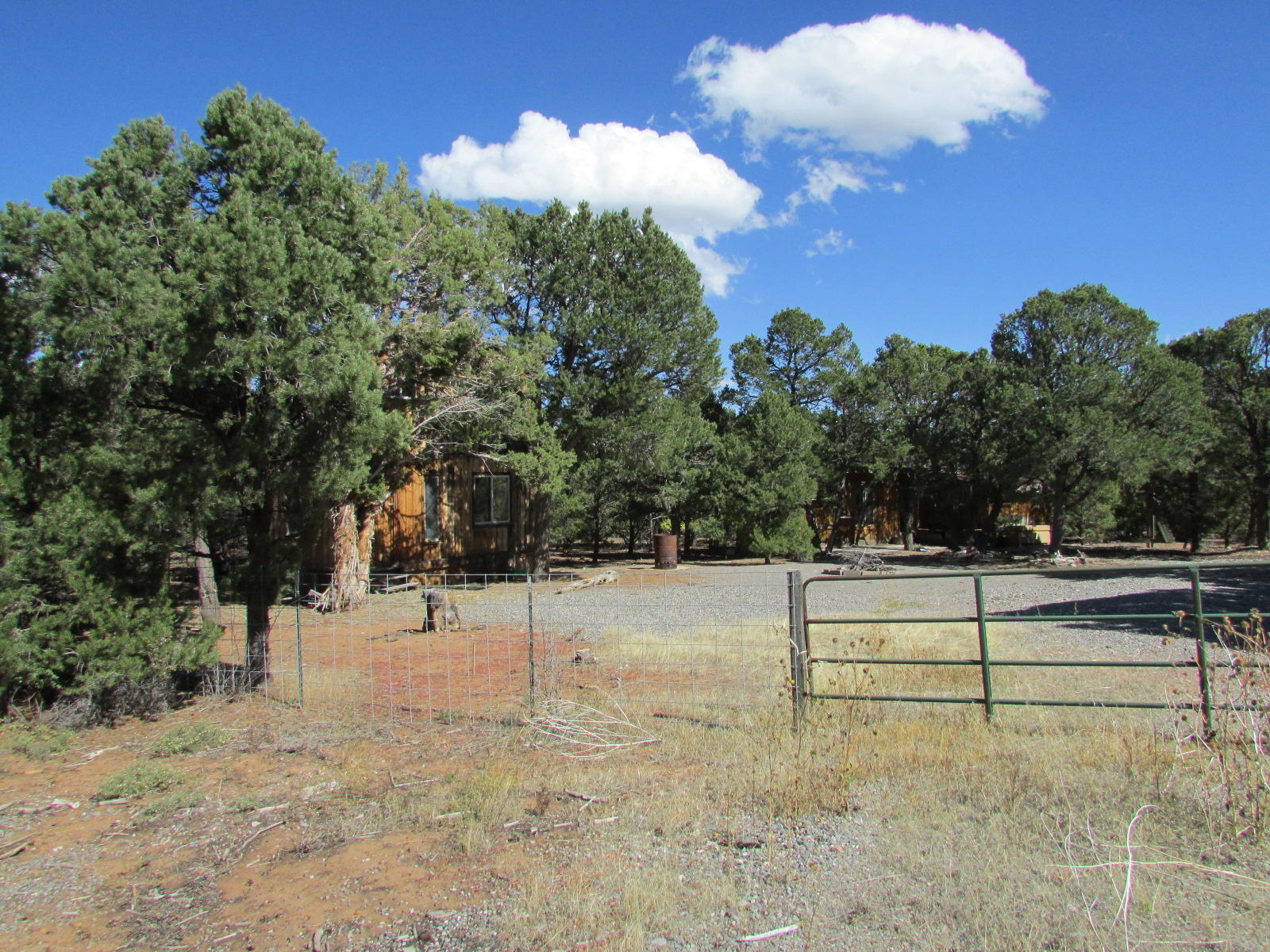 a view of a yard