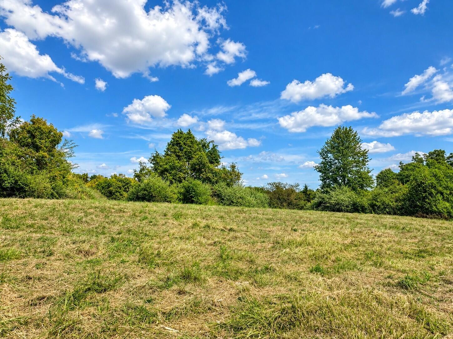 5 4.91 Ac State Road Holts Summit, MO 65043 - Photo 8 of 11 Gallery Image 8