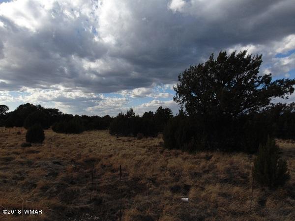 Tbd Tbd Nevermind Lncedar Ridge Show Low, AZ 85901 - Photo 2 of 8