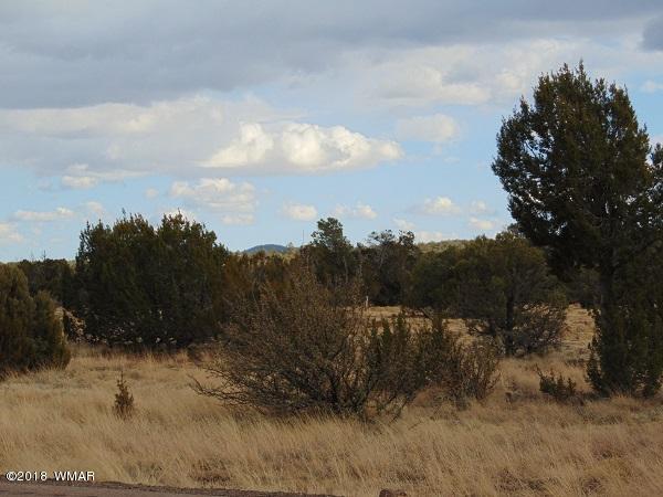 Tbd Tbd Nevermind Lncedar Ridge Show Low, AZ 85901 - Photo 4 of 8