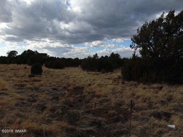 Tbd Tbd Nevermind Lncedar Ridge Show Low, AZ 85901 - Photo 5 of 8