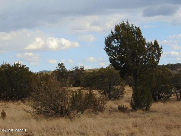 Tbd Tbd Nevermind Lncedar Ridge Show Low, AZ 85901 - Photo 6 of 8