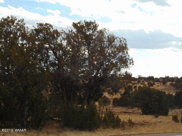 Tbd Tbd Nevermind Lncedar Ridge Show Low, AZ 85901 - Photo 7 of 8