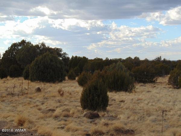 Tbd Tbd Nevermind Lncedar Ridge Show Low, AZ 85901 - Photo 8 of 8
