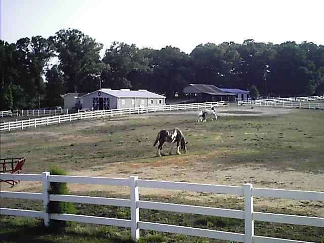 161 Acker Road Belton, SC 29627 - Photo 3 of 9