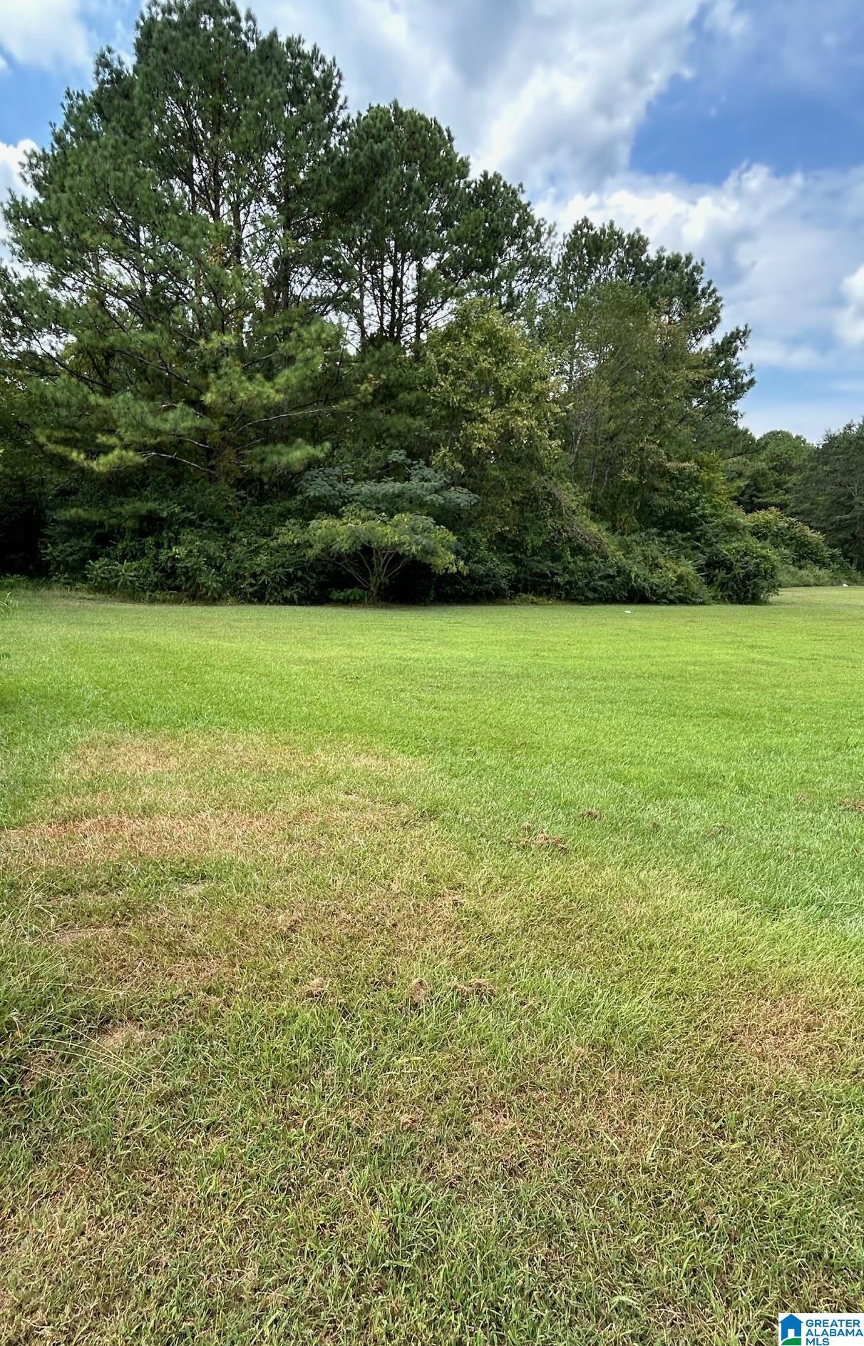 0 Glade Road Anniston, AL 36206 - Photo 2 of 4
