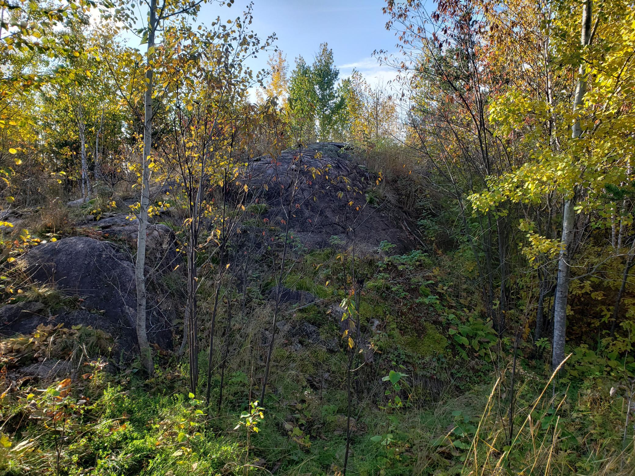 103 Onagon Lake Road Grand Marais, MN 55604 - Photo 4 of 6