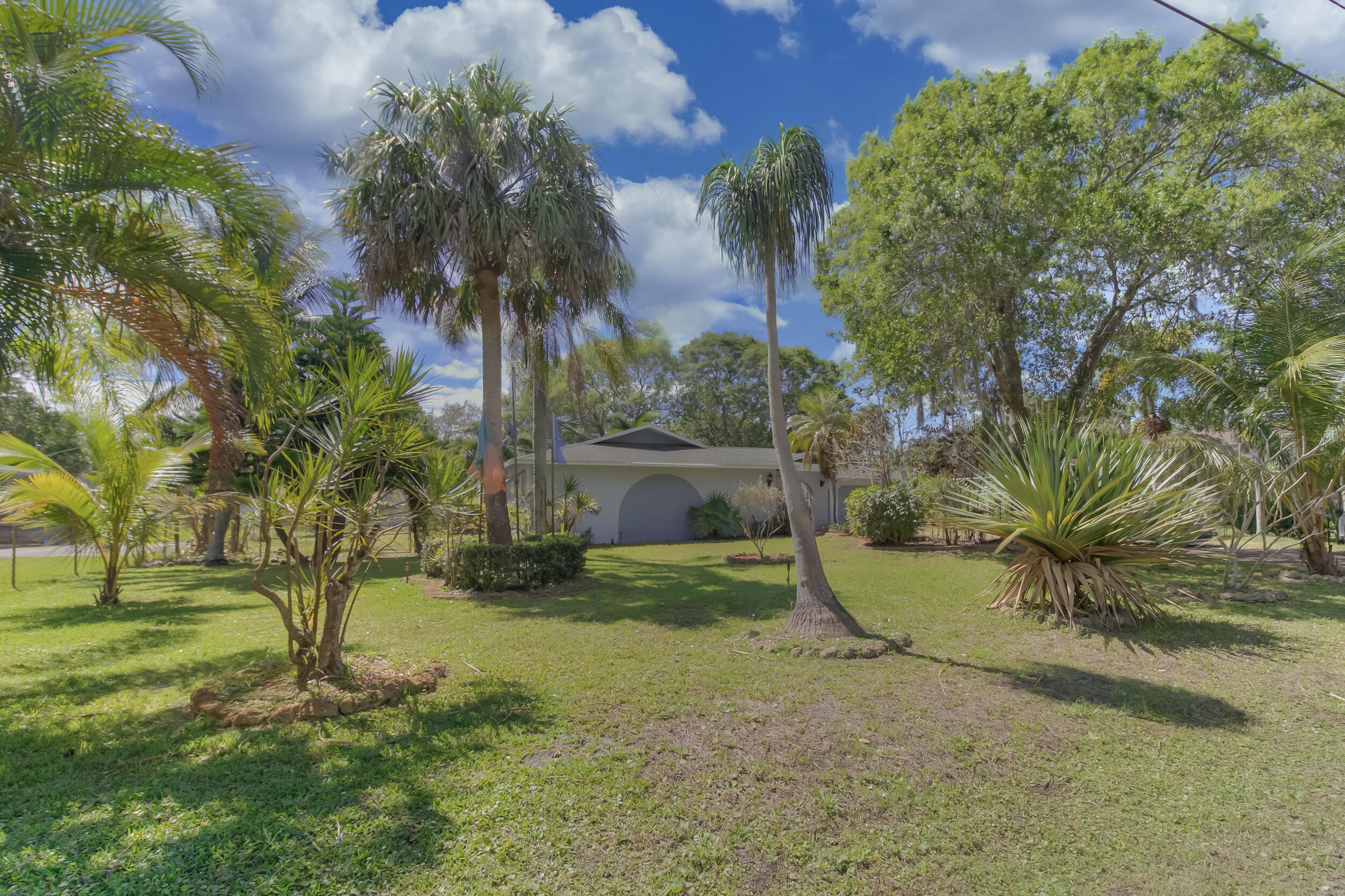 Front yard