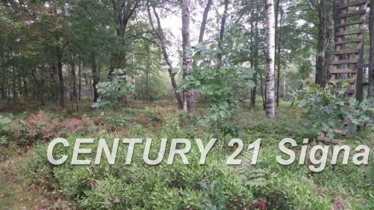 West Huron Road Au Gres, MI 48703 - Photo 16 of 21