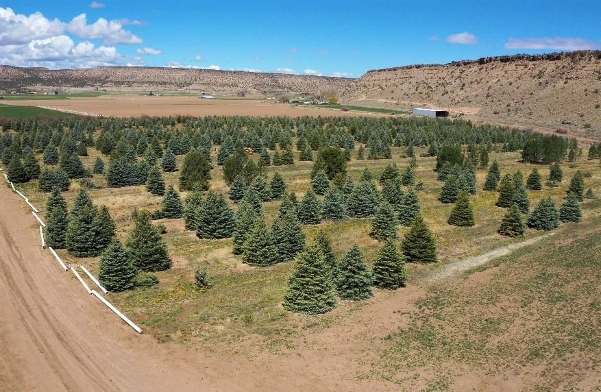 Tbd Shavano Valley Road Montrose, CO 81403 - Photo 2 of 6 a view of outdoor space and mountain view