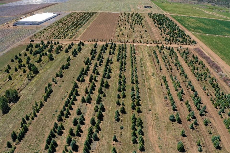 Tbd Shavano Valley Road Montrose, CO 81403 - Photo 3 of 6