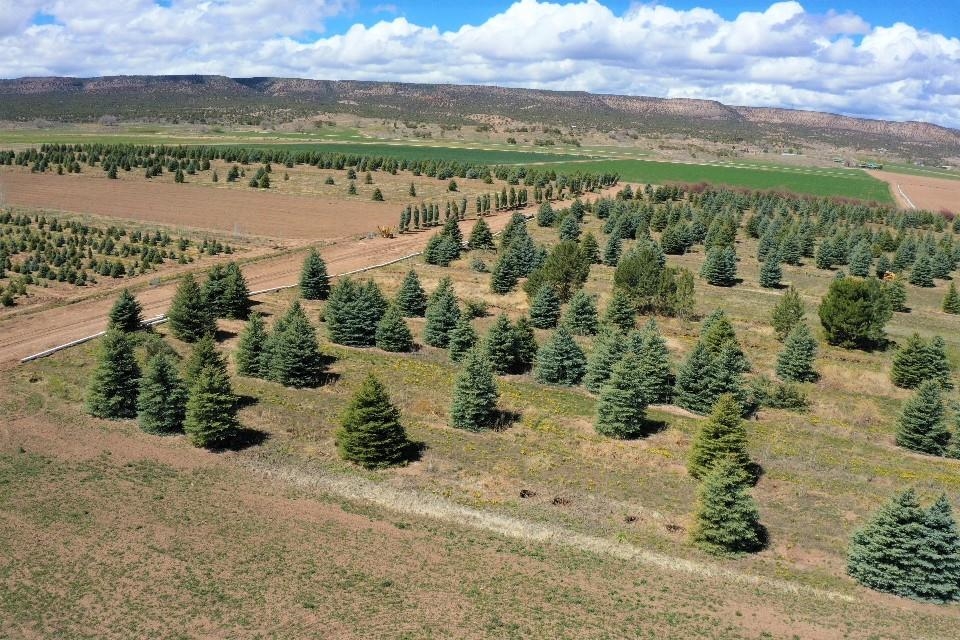 Tbd Shavano Valley Road Montrose, CO 81403 - Photo 4 of 6 a view of a lake with a mountain
