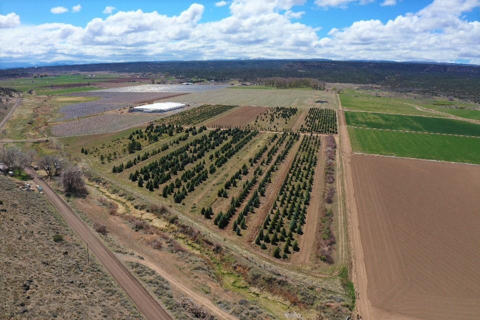 Tbd Shavano Valley Road Montrose, CO 81403 - Photo 5 of 6 a view of a lake with a mountain