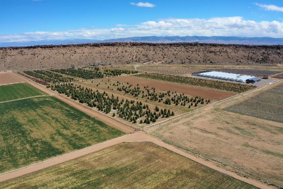 Tbd Shavano Valley Road Montrose, CO 81403 - Photo 6 of 6 a view of a swimming pool and an outdoor seating