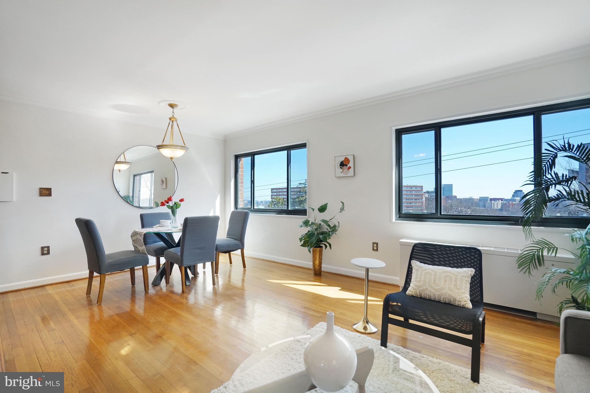 1300 South Arlington Ridge Road, Unit 718 Arlington, VA 22202 - Photo 9 of 41 NICE VIEWS