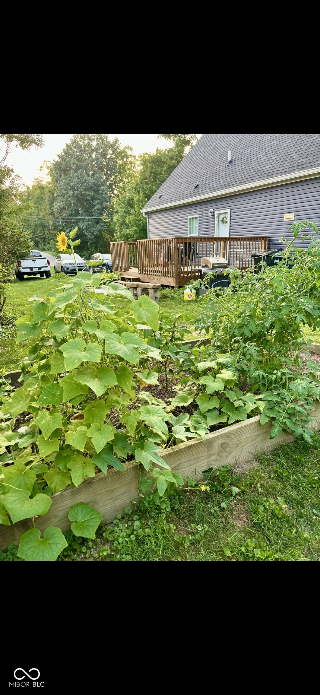 6035 Maple Grove Road Martinsville, IN 46151 - Photo 47 of 48