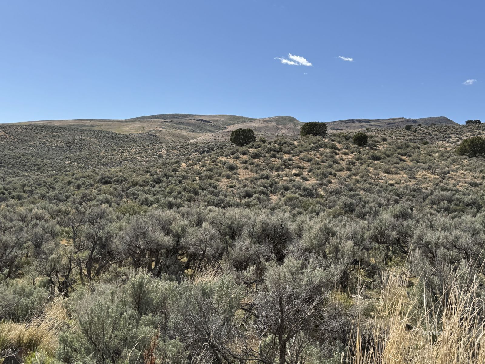 Snobowl Road Elko, NV 89801 - Photo 18 of 20