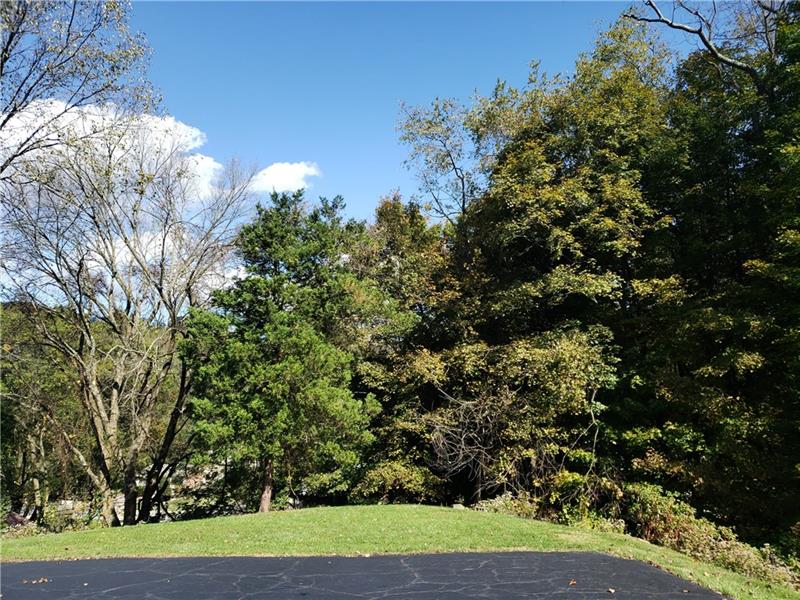 144 Jacks Run Road Pittsburgh, PA 15214 - Photo 21 of 21 view from the back drive of the tree line