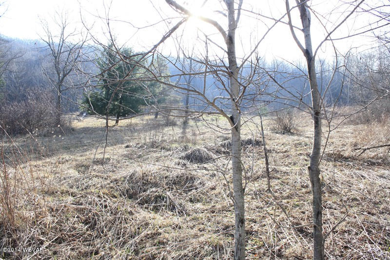 0 Welch Mountain Road Covington, PA 16917 - Photo 4 of 25 125326-04