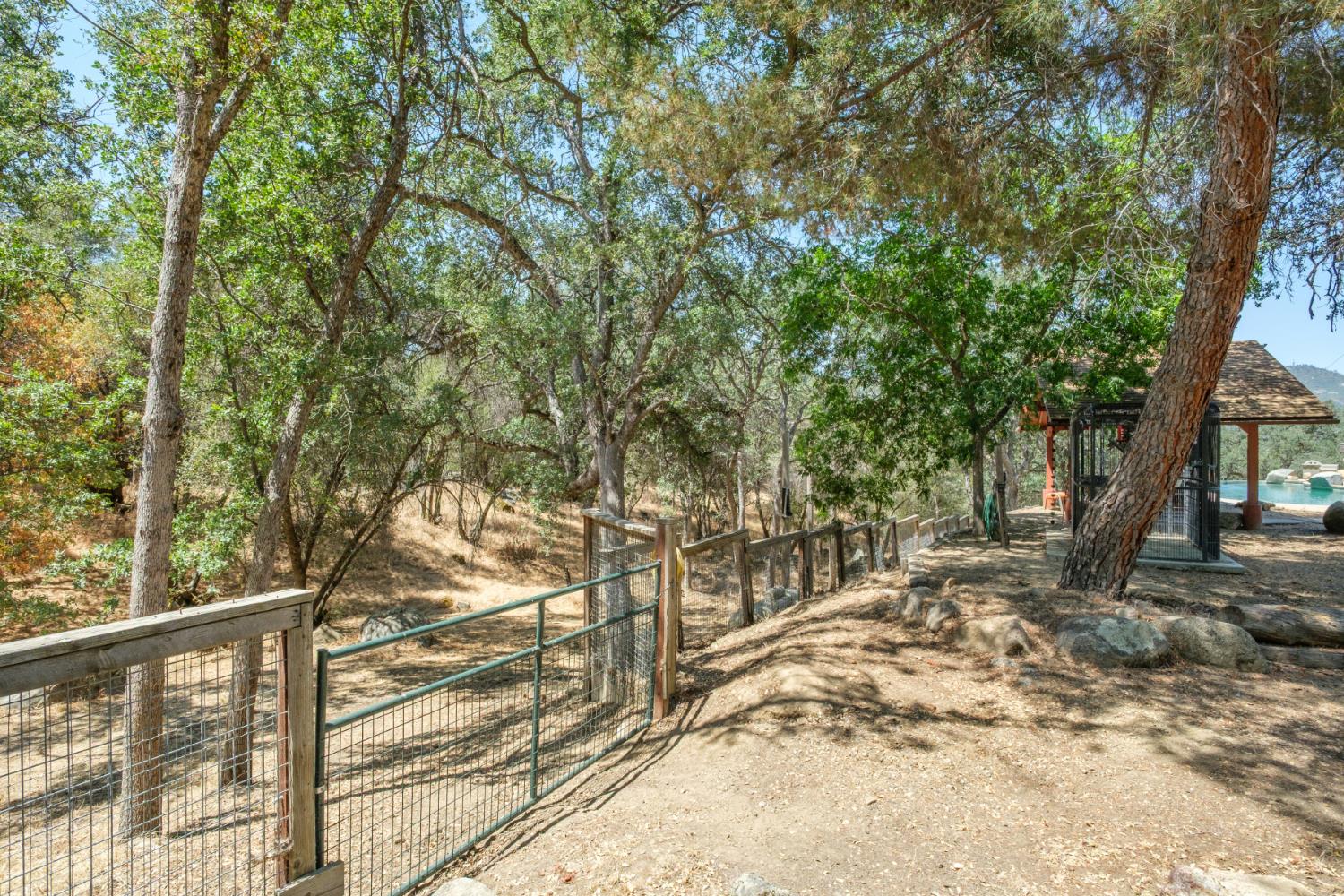 29412 Gibbs Ranch Road Tollhouse, CA 93667 - Photo 46 of 57
