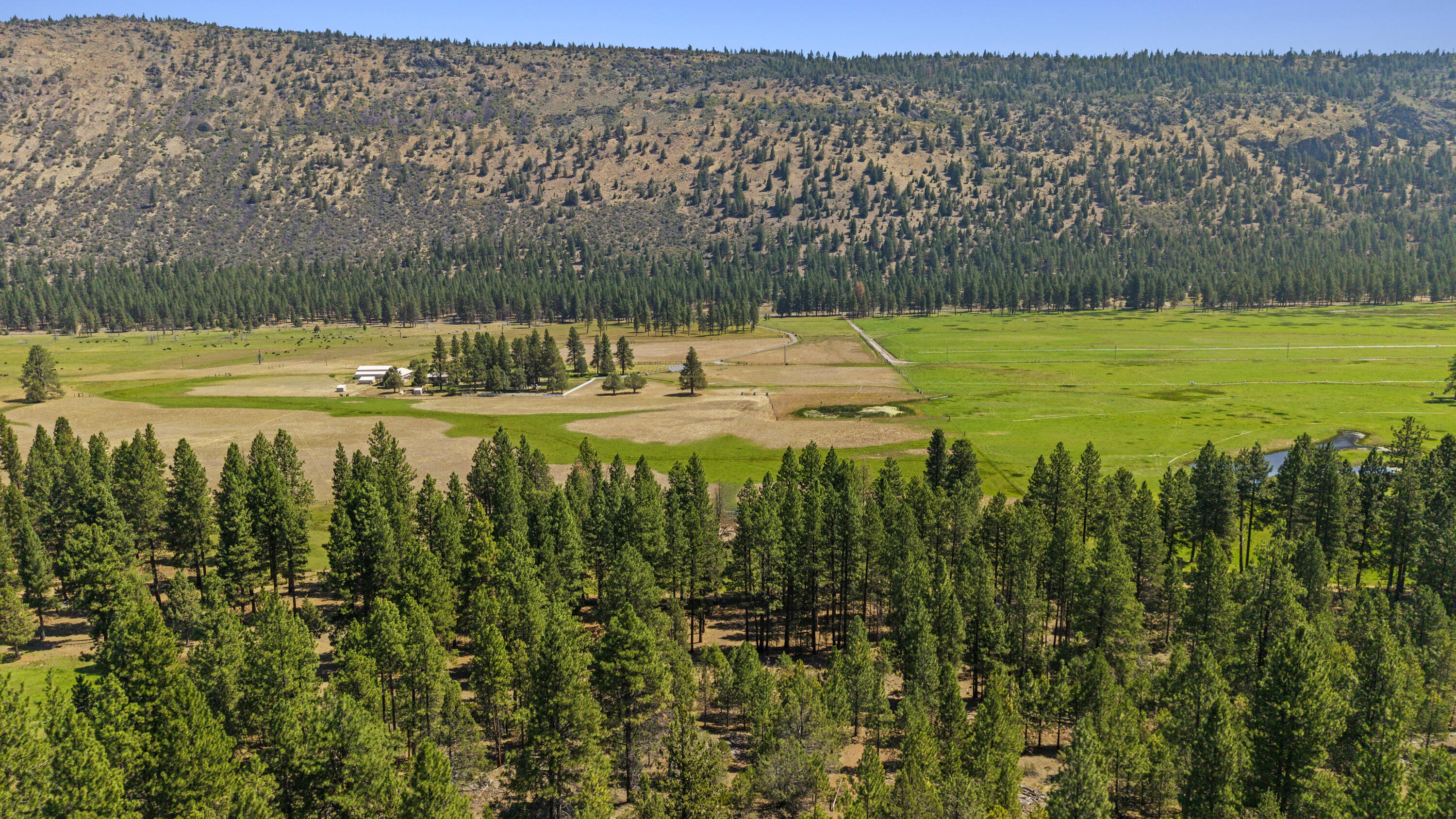 0 Simpson Canyon Road, Unit 15 Klamath Falls, OR 97601 - Photo 37 of 37 a view of a swimming pool with a garden and trees