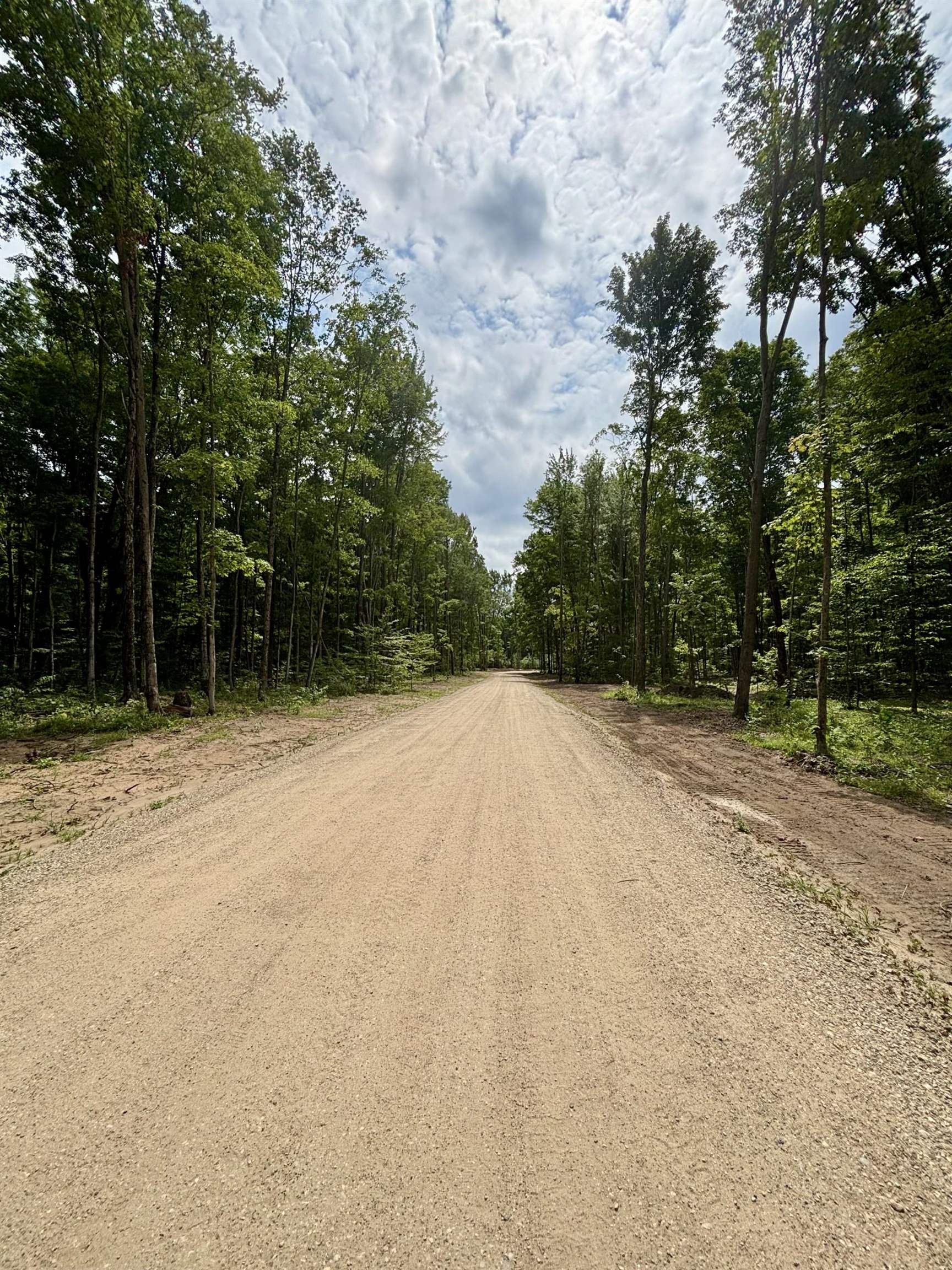 Lot 8 Northeast Manistee Ridge Drive Ne Kalkaska, MI 49646 - Photo 5 of 8