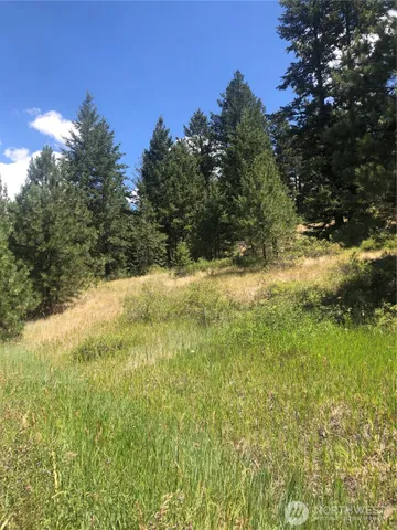 $58,500 | 22 Pine Chee Road, Oroville, WA 98844