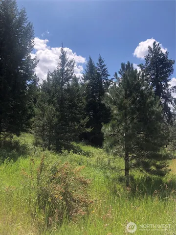 $58,500 | 22 Pine Chee Road, Oroville, WA 98844