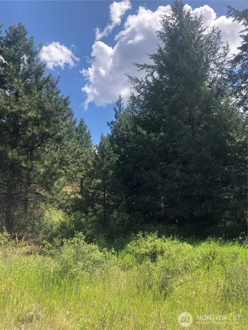 $58,500 | 22 Pine Chee Road, Oroville, WA 98844