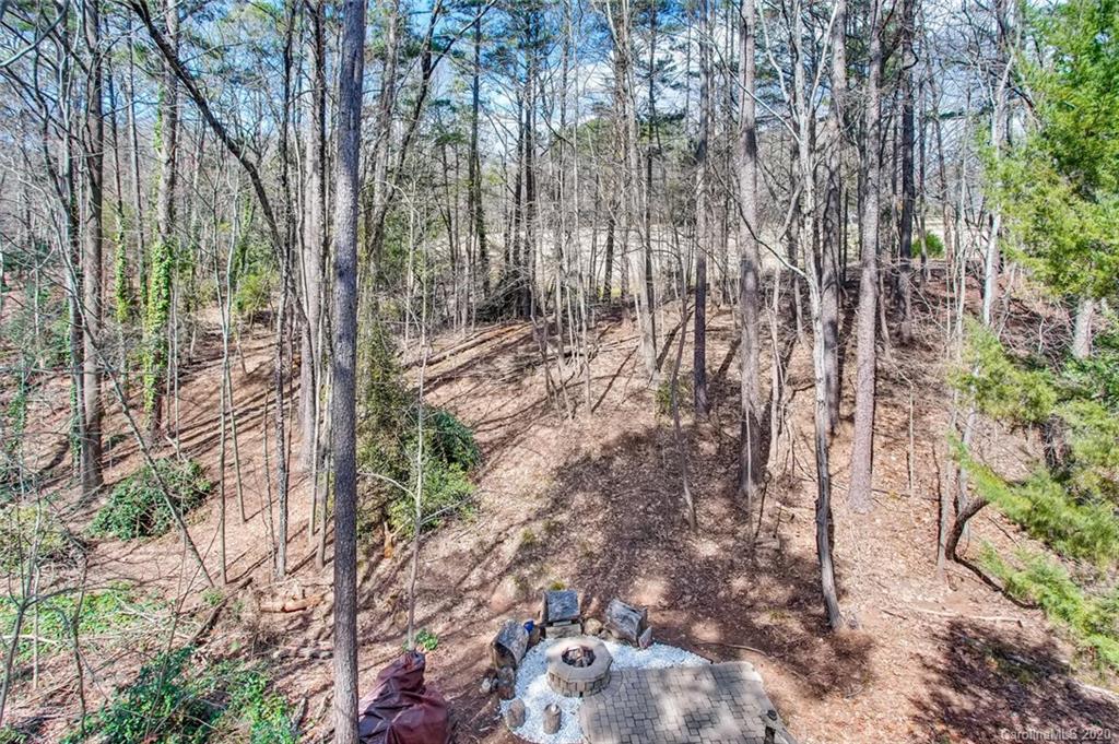2147 Manawa Lane Tega Cay, SC 29708 - Photo 27 of 28 a view of yard