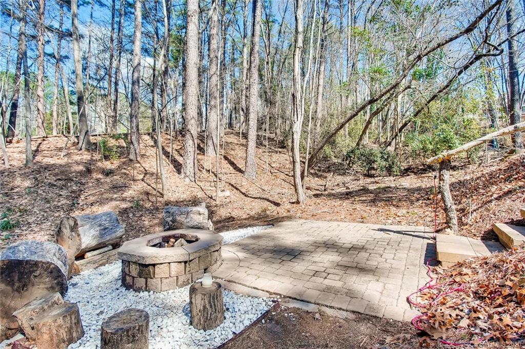 2147 Manawa Lane Tega Cay, SC 29708 - Photo 28 of 28 a view of outdoor space with garden view
