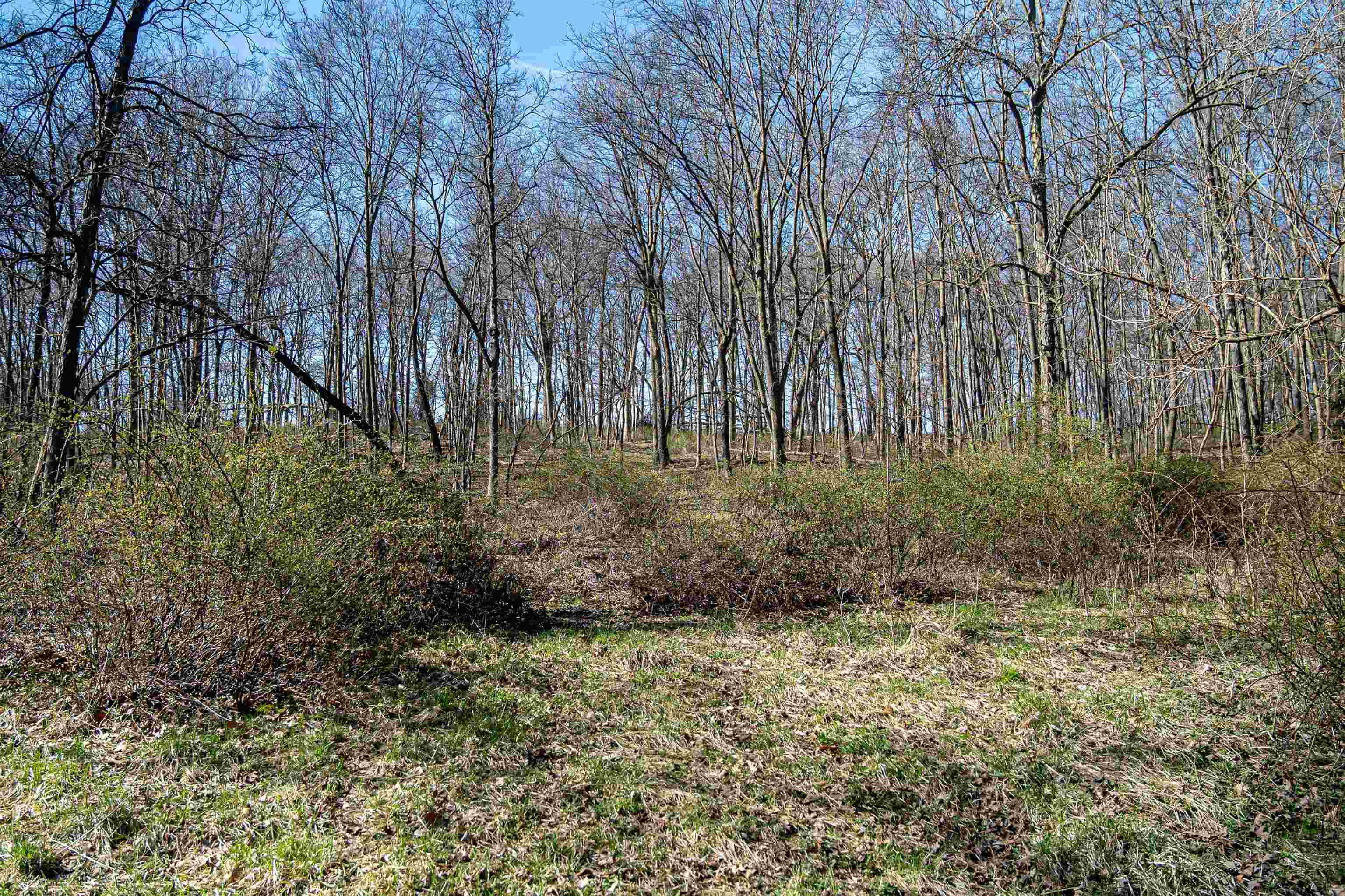0 South Flint Road Pearl City, IL 61062 - Photo 14 of 50 Gallery Image 14