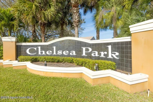 a view of a yard with plants and large trees