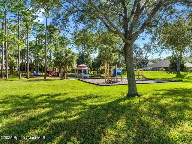 a view of a park with large trees