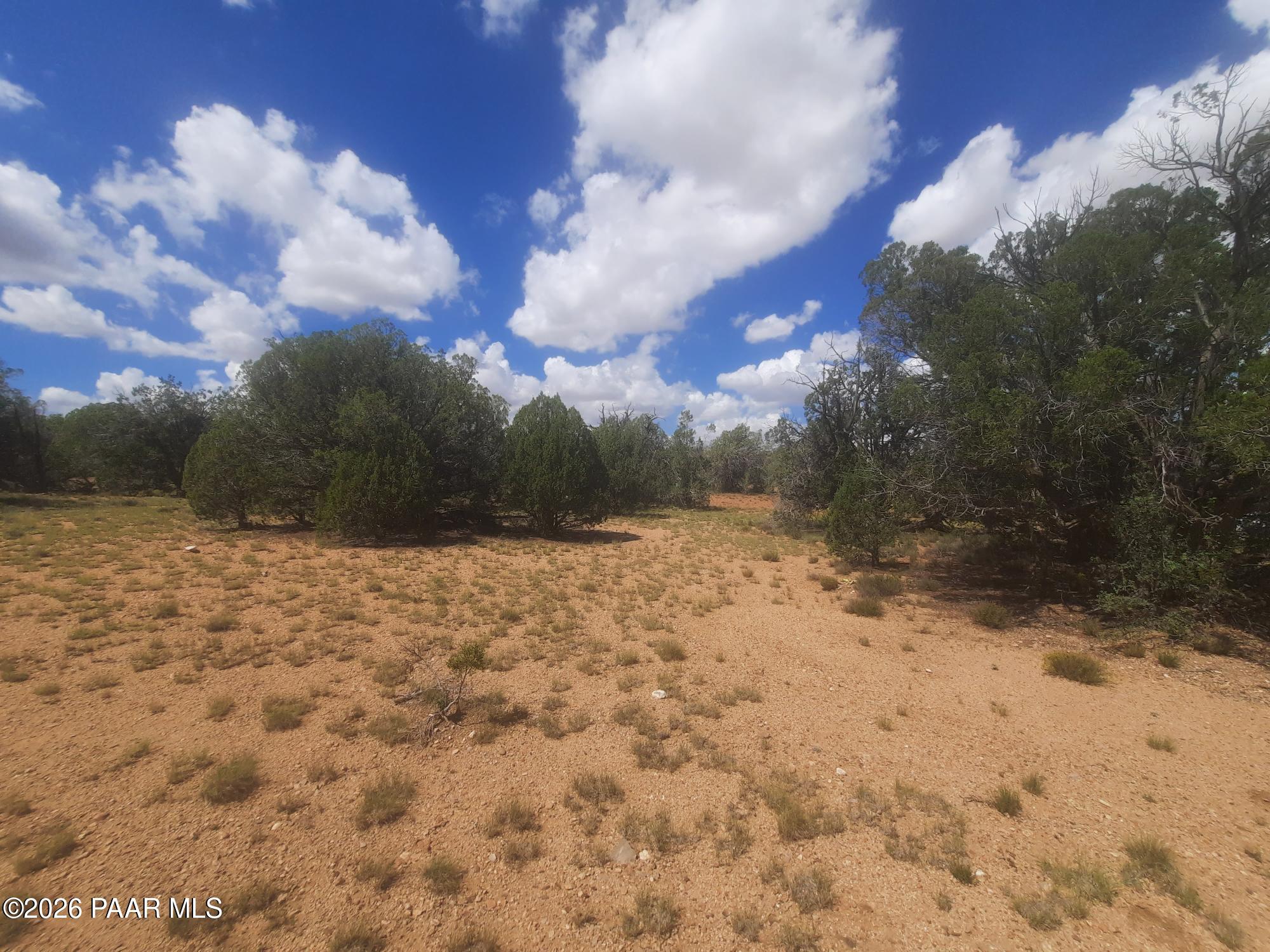 5 Denny 5 Road Seligman, AZ 86337 - Photo 13 of 16 20260912_120652
