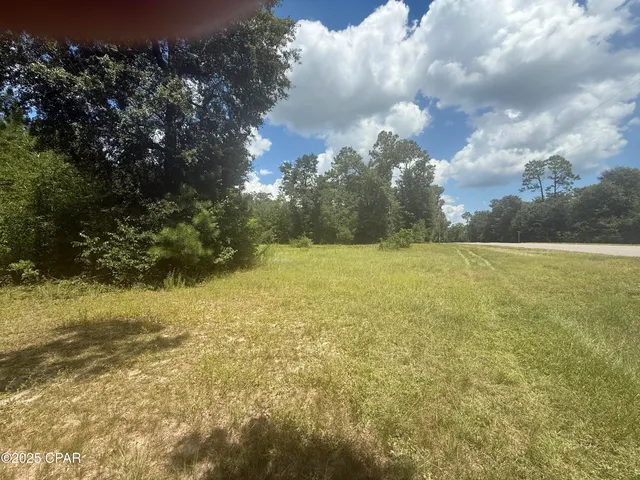 $21,000 | 0 Blue Springs Road, Greenwood, FL 32443