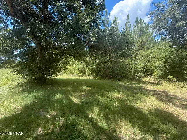 $21,000 | 0 Blue Springs Road, Greenwood, FL 32443