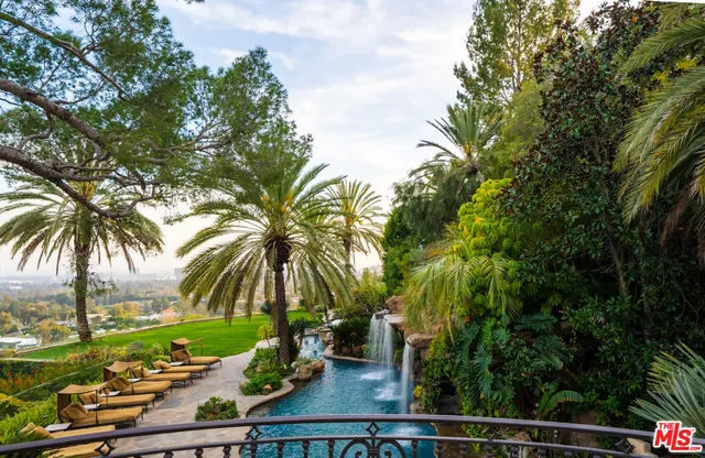 a view of a palm tree with outdoor space