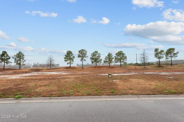 $32,000 | 182 Pinewood Cove, Snow Hill, NC 28580