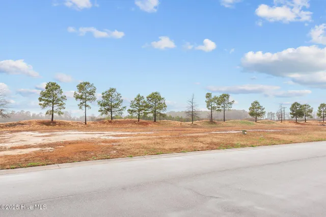 $32,000 | 182 Pinewood Cove, Snow Hill, NC 28580