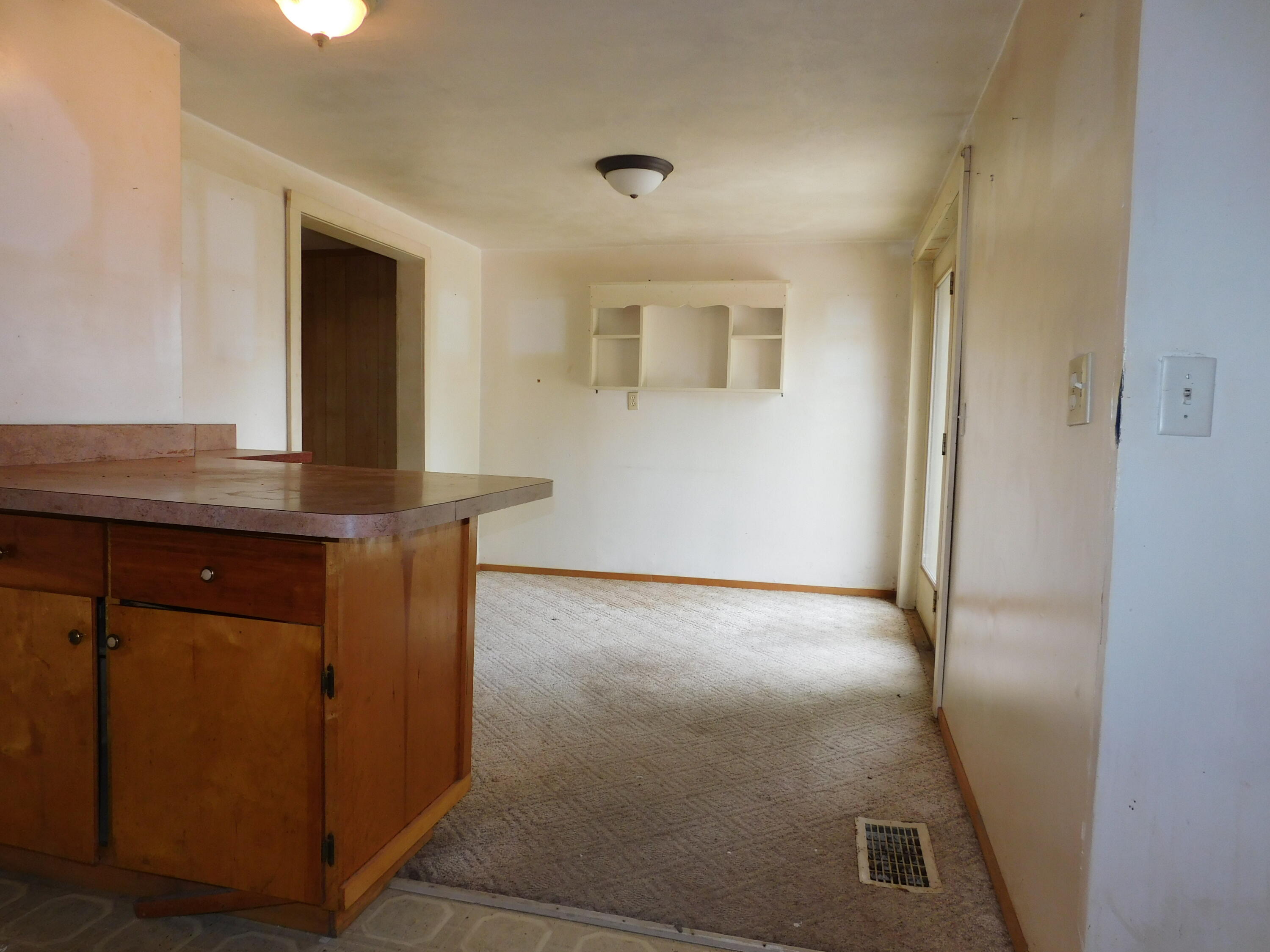 462 West Main Street Grand Ledge, MI 48837 - Photo 9 of 39 DSCN3322