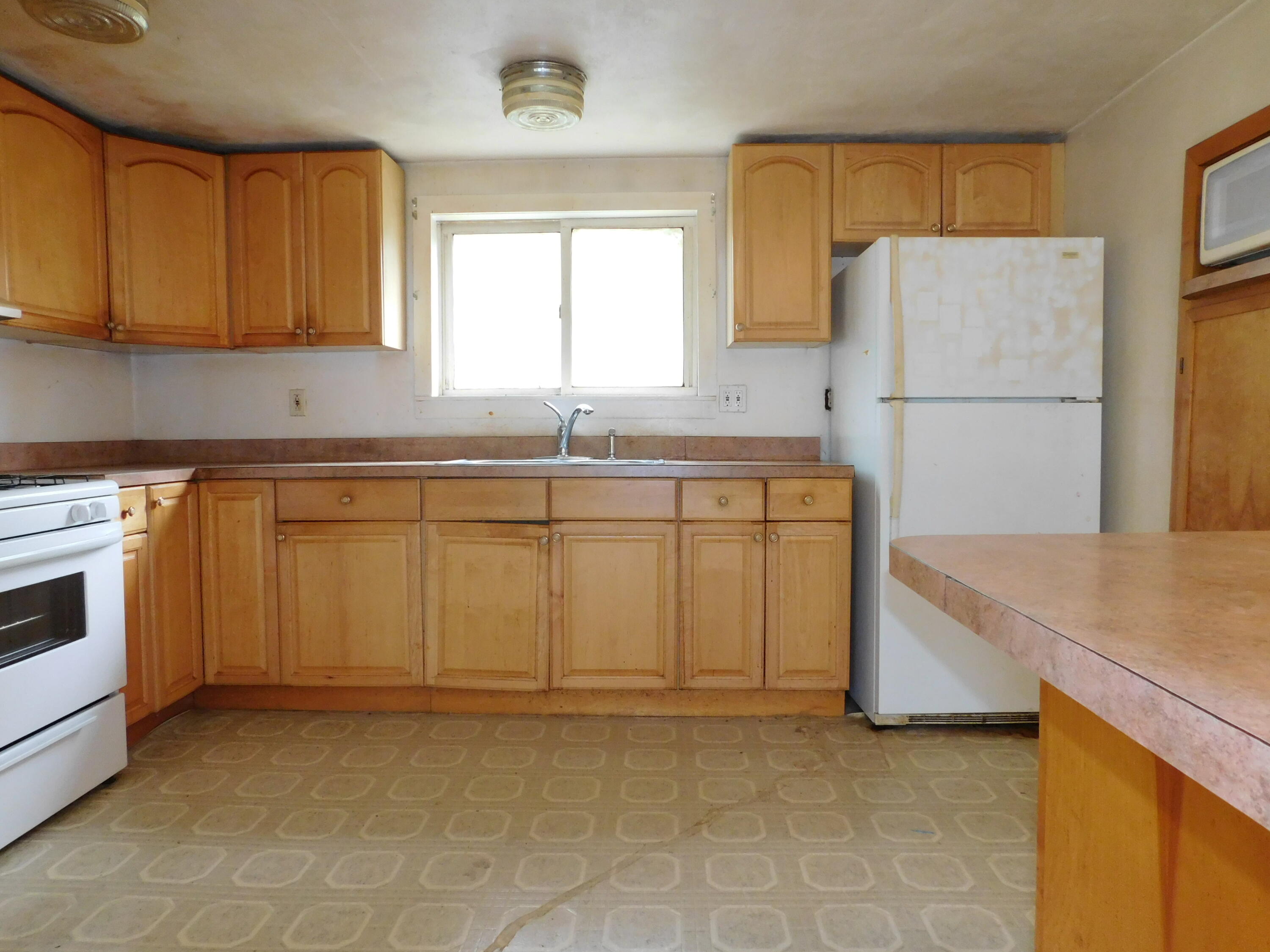 462 West Main Street Grand Ledge, MI 48837 - Photo 10 of 39 DSCN3323