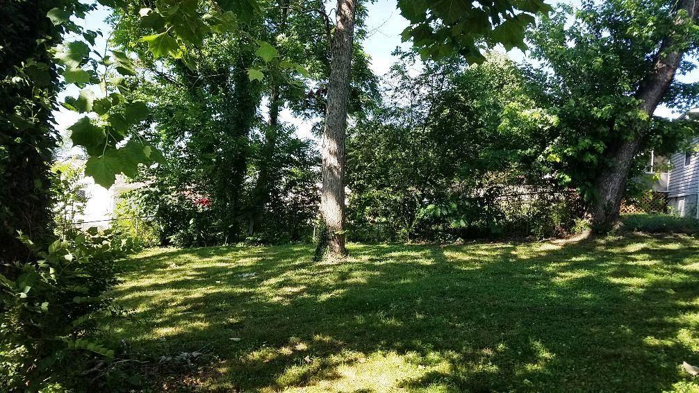 101 West Arrowwood Road Oak Ridge, TN 37830 - Photo 15 of 15 fabulous yard!!