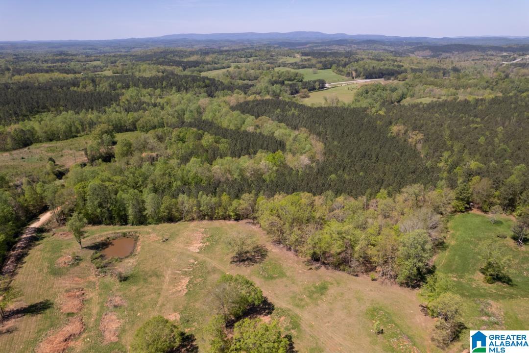 0 Highway 431, Unit 1 Wedowee, AL 36278 - Photo 4 of 10