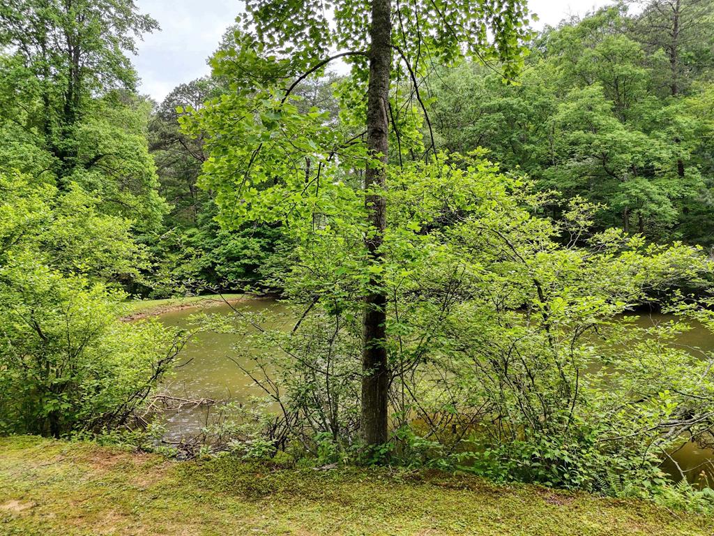 562 New Hope Club Road Ellijay, GA 30540 - Photo 48 of 49