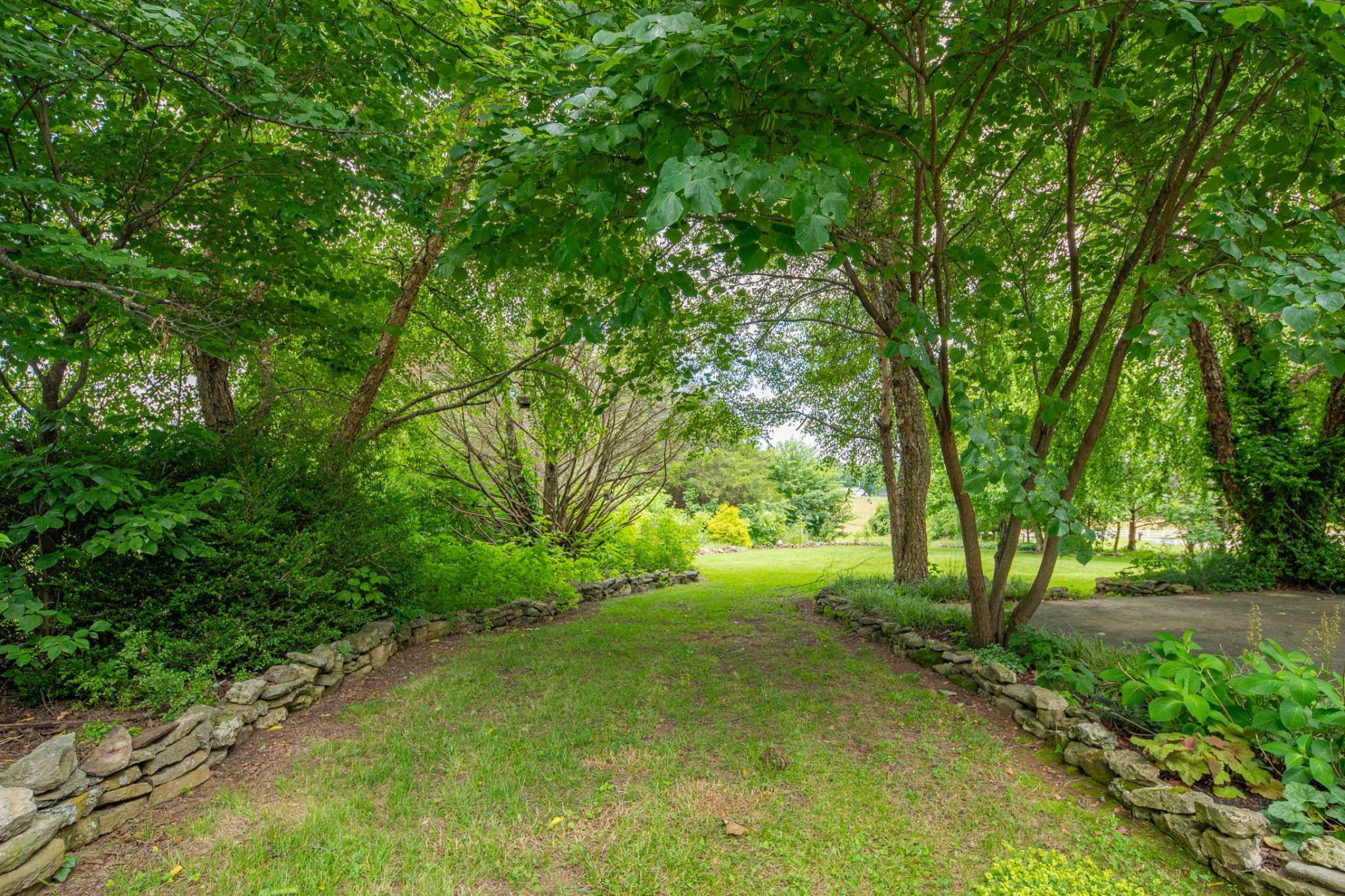 3004 Viewpointe Way Columbia, TN 38401 - Photo 19 of 93